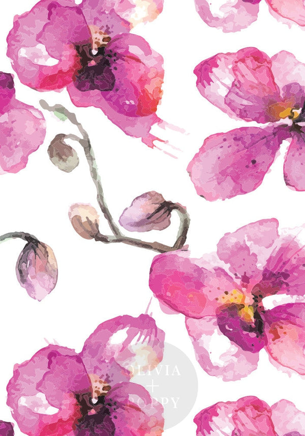 Pink Orchid Wall Mural Wallpaper