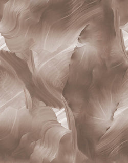 Canyon Paint