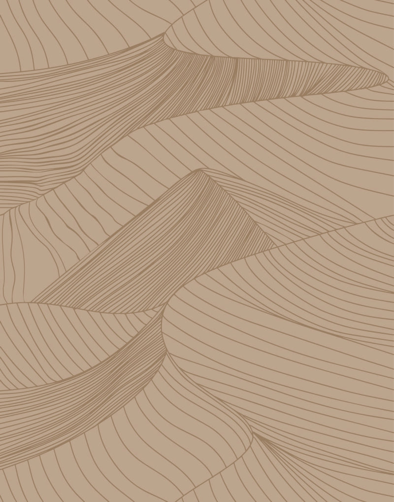 Dunes