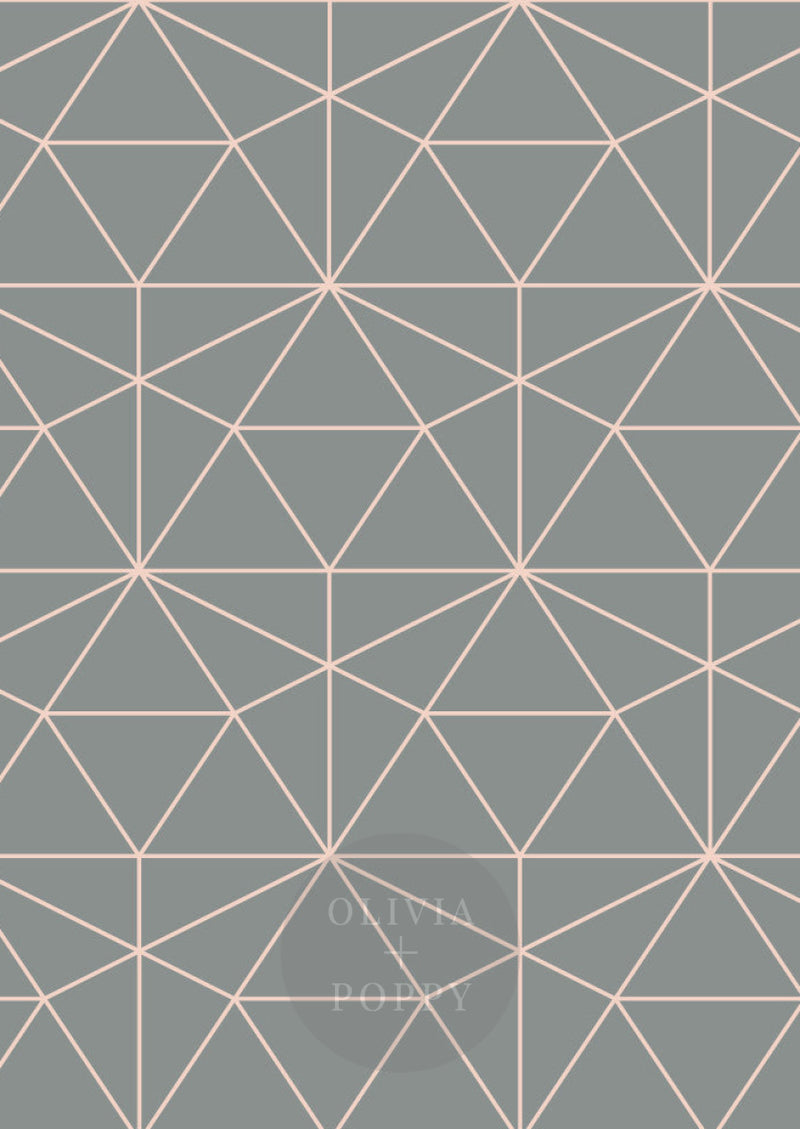 Graphic Quartz Wallpaper Paste The Wall (Traditional Vinyl) / Grey + Pale Dogwood