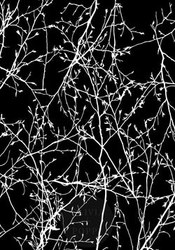 Metallic Branch Entanglement Wallpaper Paste The Wall (Traditional) / Black Lacquer+ White