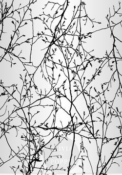 Metallic Branch Entanglement Wallpaper Paste The Wall (Traditional) / Pearl + Black