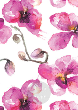 Pink Orchid Wall Mural Sample Wallpaper
