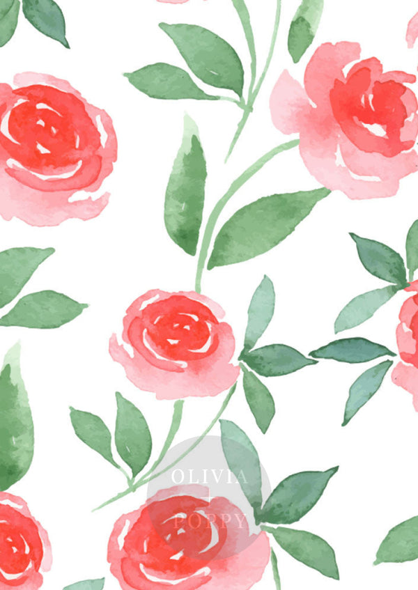 Pink Rose Watercolor Wallpaper