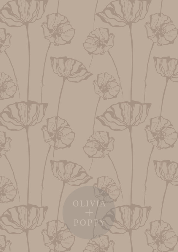 Poppy Sketch Wallpaper Paste The Wall (Traditional Vinyl) / Dark Brown Duet