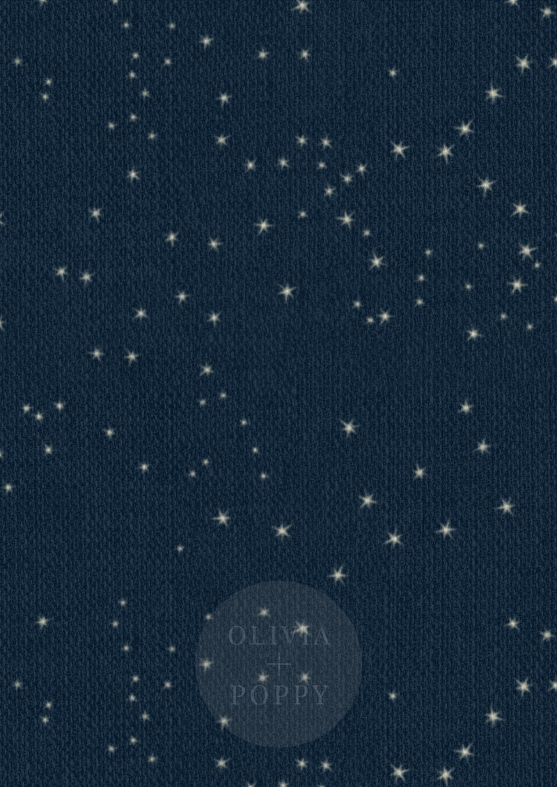 Stargazing / Grasscloth Texture Vinyl (Traditional) Wallpaper