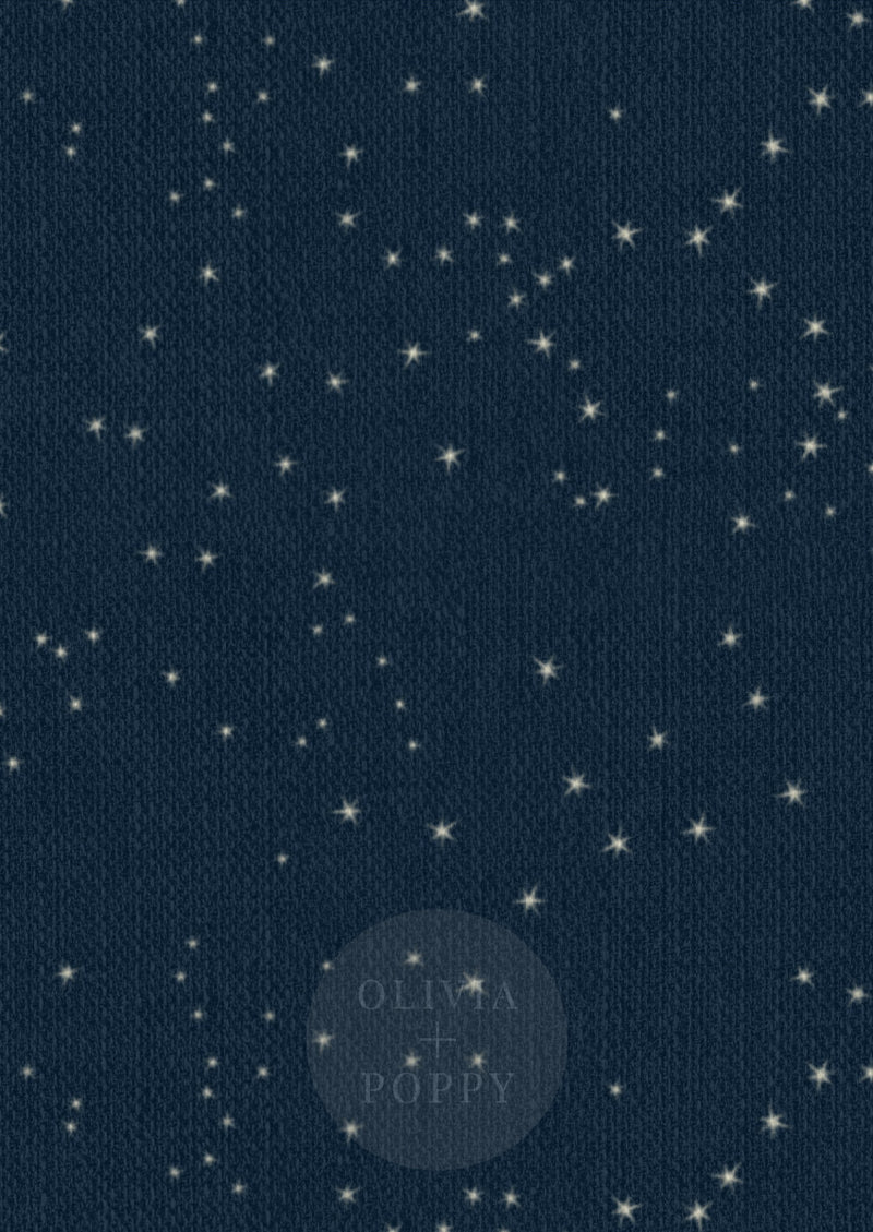 Stargazing / Grasscloth Texture Vinyl (Traditional) Wallpaper